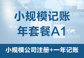 小規(guī)模記賬年套餐A1